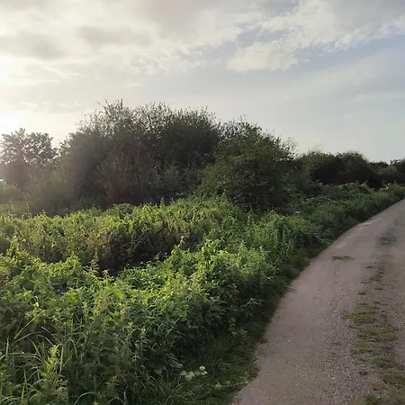 La Campagne A La Ville... * Бове