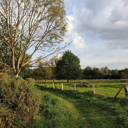 La Campagne A La Ville...