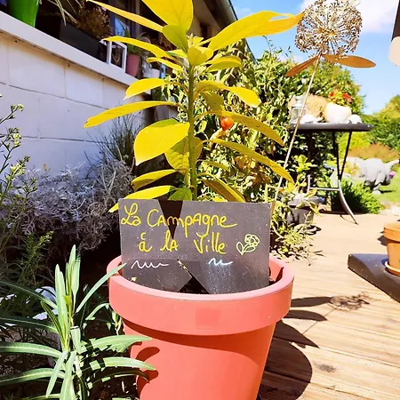 Апартаменты La Campagne A La Ville... Бове